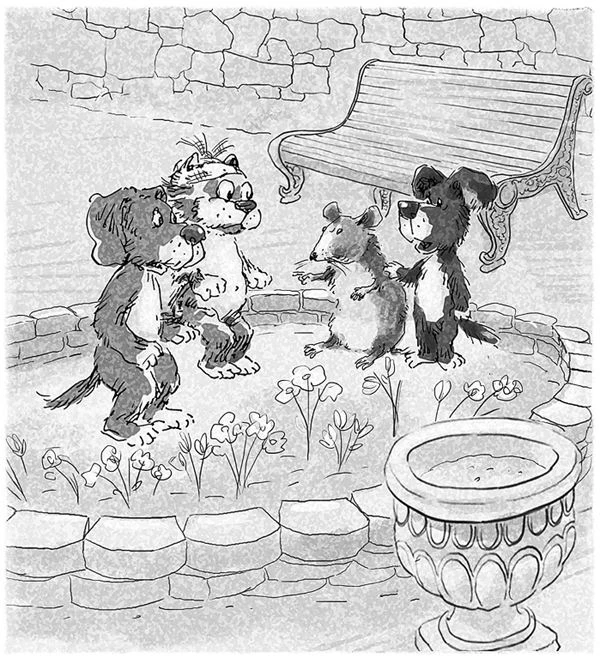 Иллюстрация к книге — Кот Страус и пещера страха [i_005.webp]