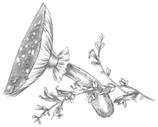 Иллюстрация к книге — Самайн у ведьмы пограничья [i_004.webp]