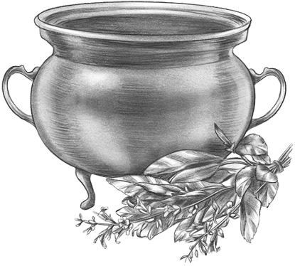 Иллюстрация к книге — Самайн у ведьмы пограничья [i_011.webp]