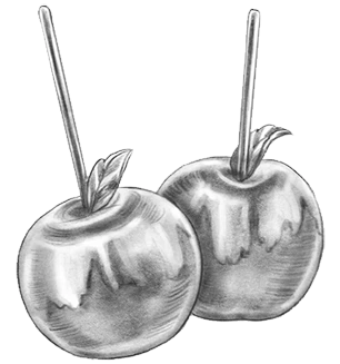 Иллюстрация к книге — Самайн у ведьмы пограничья [i_013.webp]