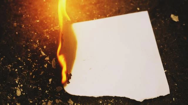 Иллюстрация к книге — Совенок. Путь к трону. Пятая часть [3de69a38-346f-47fc-8989-694a564355bb.webp]