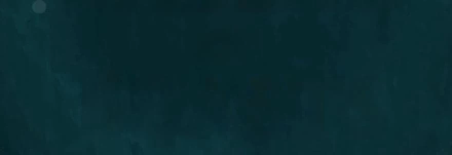 Иллюстрация к книге — Песнь Теней и Звёздного света [_551.webp]