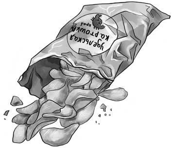 Иллюстрация к книге — Ночь упырей [i_014.webp]