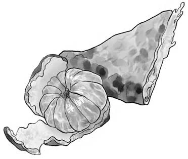 Иллюстрация к книге — Ночь упырей [i_040.webp]