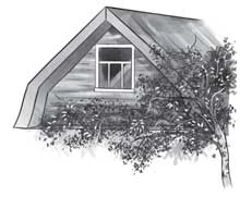 Иллюстрация к книге — Отсутствие жизни [i_033.webp]