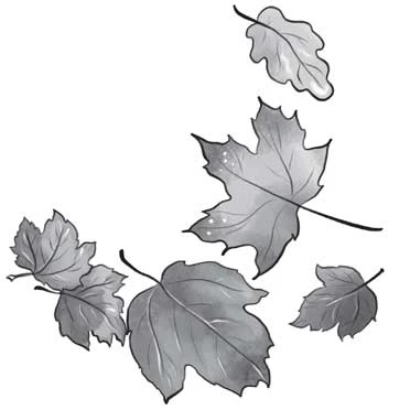 Иллюстрация к книге — Отсутствие жизни [i_036.webp]