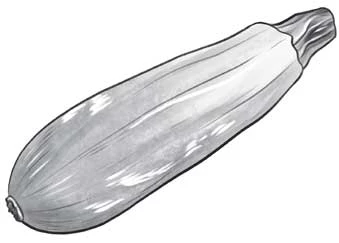 Иллюстрация к книге — Отсутствие жизни [i_046.webp]