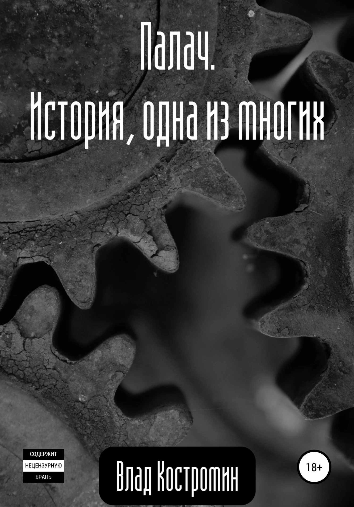 Книга Палач. История, одна из многих