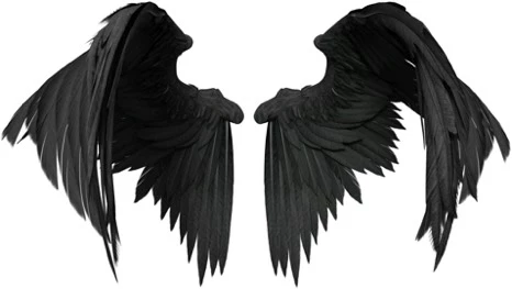 Иллюстрация к книге — Я, ангел [img_2.webp]