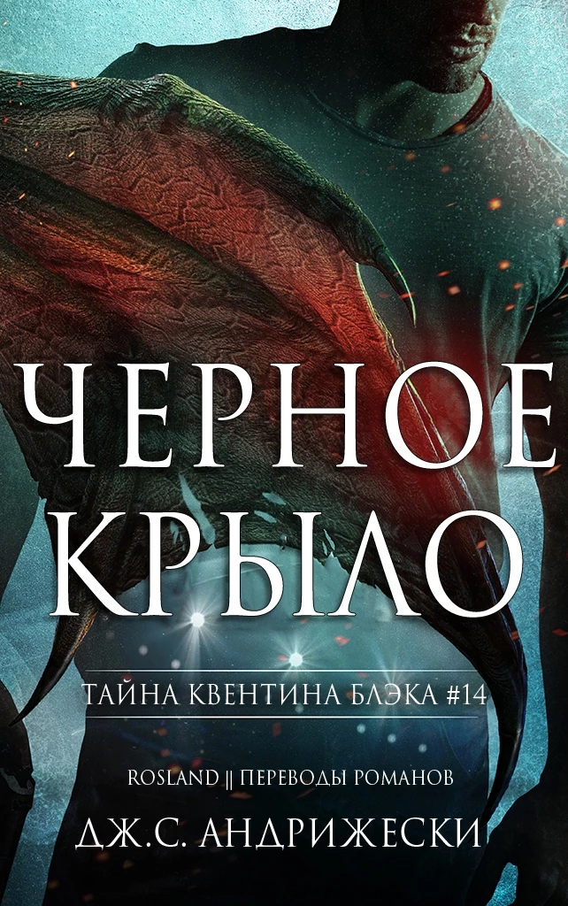 Книга Чёрное крыло