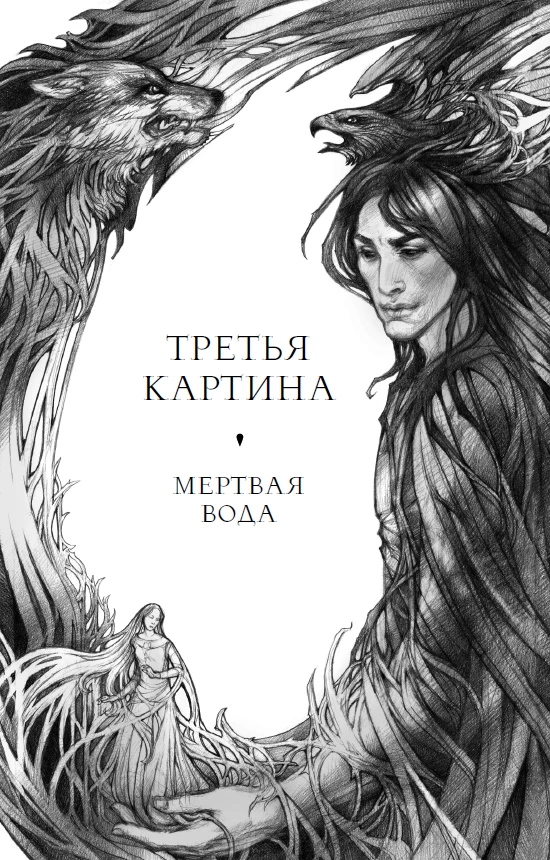 Иллюстрация к книге — Тайна чёрного волка [i_002.webp]