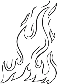 Иллюстрация к книге — Рожденная пламенем [i_001.webp]