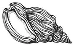 Иллюстрация к книге — Песнь бездны [i_041.webp]