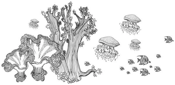 Иллюстрация к книге — Песнь бездны [i_052.webp]