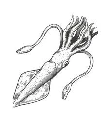 Иллюстрация к книге — Шепот глубин [i_001.webp]