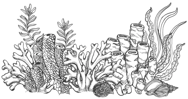 Иллюстрация к книге — Шепот глубин [i_011.webp]