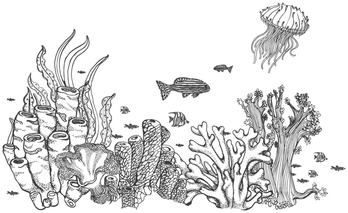 Иллюстрация к книге — Шепот глубин [i_016.webp]