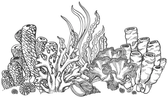 Иллюстрация к книге — Шепот глубин [i_021.webp]