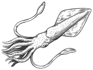 Иллюстрация к книге — Шепот глубин [i_030.webp]