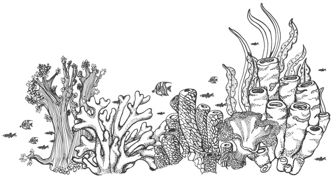 Иллюстрация к книге — Шепот глубин [i_032.webp]