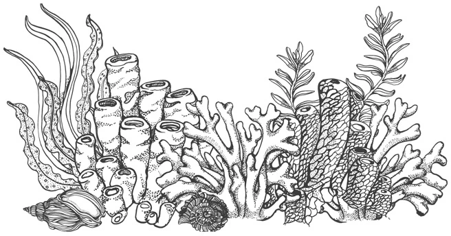 Иллюстрация к книге — Шепот глубин [i_033.webp]