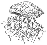 Иллюстрация к книге — Шепот глубин [i_038.webp]