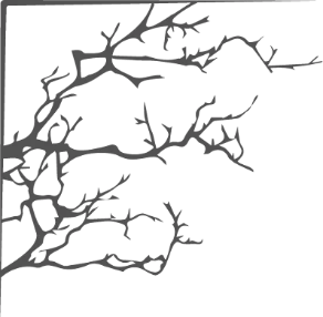 Иллюстрация к книге — Королева терний [book-illustration-1.webp]