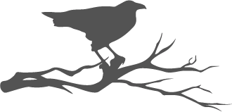 Иллюстрация к книге — Проклятие терний [book-illustration.webp]