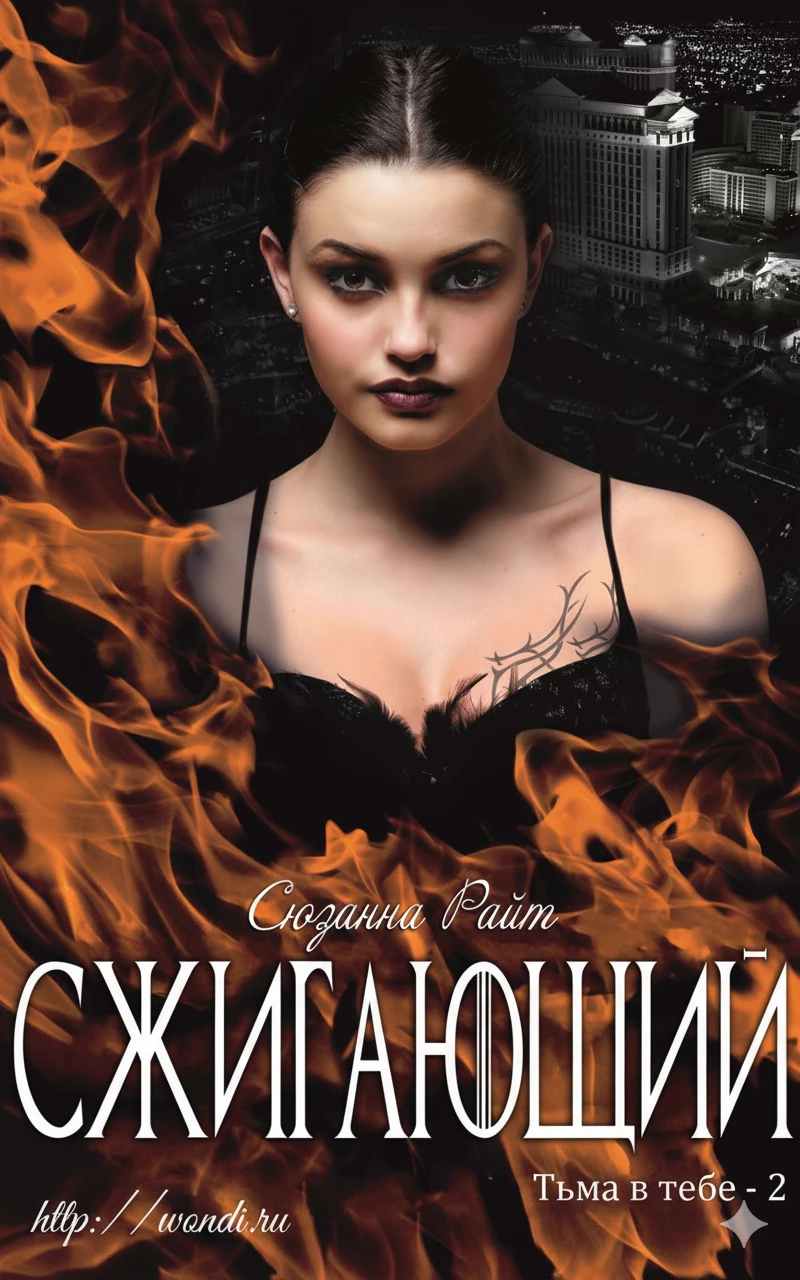 Книга Сжигающий