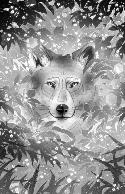 Иллюстрация к книге — Сердце волчьего леса [book-illustration.webp]