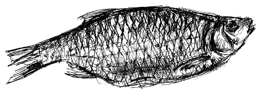 Иллюстрация к книге — Ведьмин смех [book-illustration-102.webp]