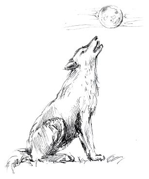 Иллюстрация к книге — Ведьмин смех [book-illustration-114.webp]