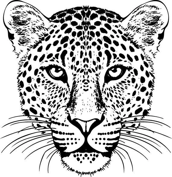 Иллюстрация к книге — Тень дракона [book-illustration-5.webp]