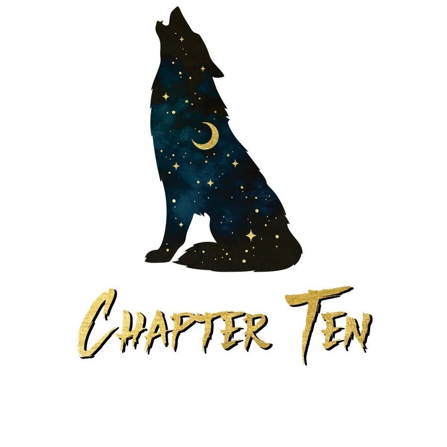 Иллюстрация к книге — Горький конец [book-illustration-1.webp]