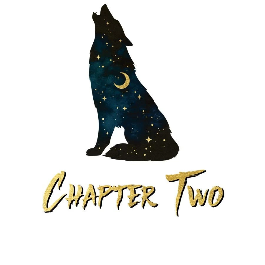 Иллюстрация к книге — Горький конец [book-illustration-12.webp]