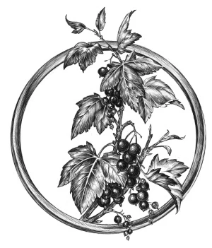 Иллюстрация к книге — Золотая свирель. Том 2 [book-illustration-11.webp]