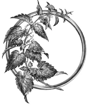 Иллюстрация к книге — Золотая свирель. Том 2 [book-illustration-4.webp]