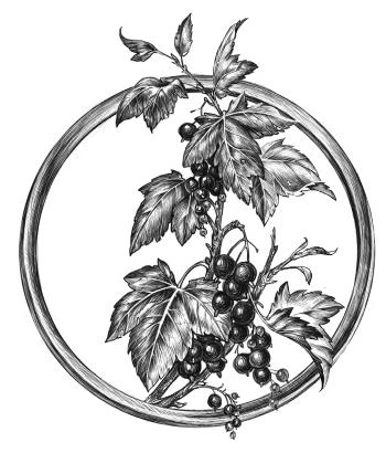 Иллюстрация к книге — Золотая свирель. Том 1 [book-illustration-12.webp]