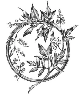 Иллюстрация к книге — Золотая свирель. Том 1 [book-illustration-13.webp]