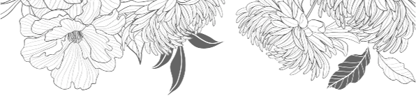 Иллюстрация к книге — Ужасно богатый вампир [book-illustration-4.webp]