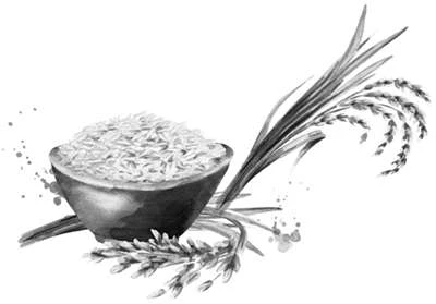 Иллюстрация к книге — Янтарь рассеивает тьму. Асдэм [book-illustration-15.webp]