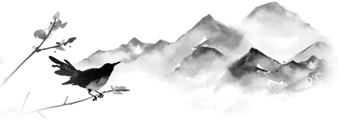 Иллюстрация к книге — Янтарь рассеивает тьму [book-illustration-12.webp]