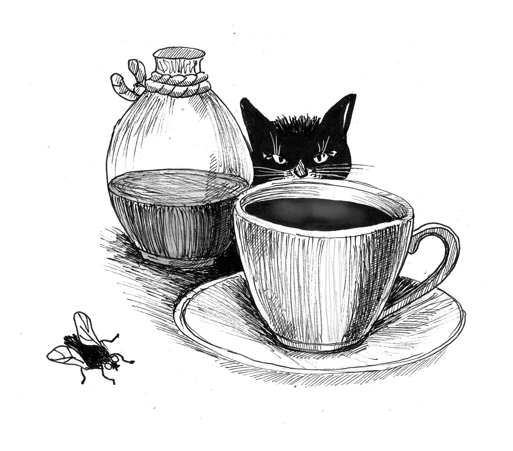 Иллюстрация к книге — 54 по шкале магометра [book-illustration-24.webp]