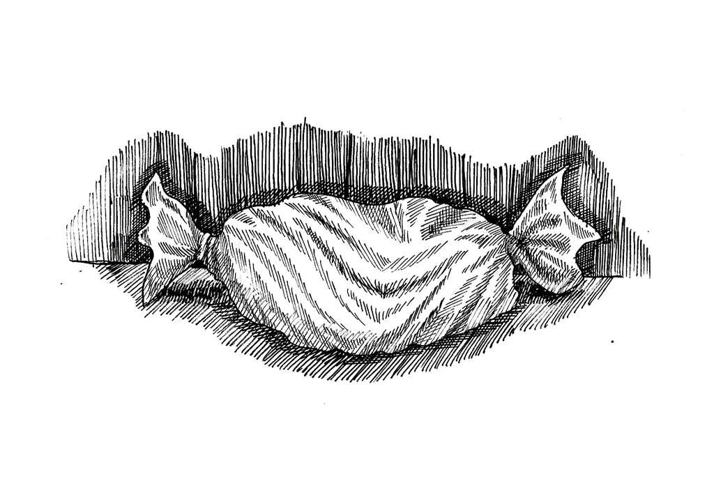 Иллюстрация к книге — 54 по шкале магометра [book-illustration-37.webp]