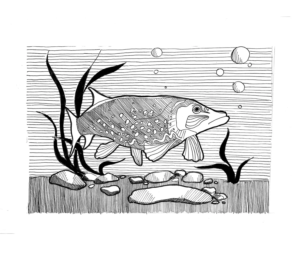 Иллюстрация к книге — 54 по шкале магометра [book-illustration-41.webp]