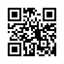 Иллюстрация к книге — 54 по шкале магометра [book-illustration-46.webp]