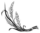 Иллюстрация к книге — Пташка [book-illustration-3.webp]