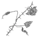 Иллюстрация к книге — Свет в твоей душе [book-illustration-14.webp]