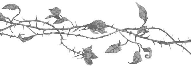 Иллюстрация к книге — Свет в твоей душе [book-illustration-17.webp]