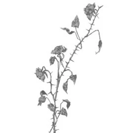 Иллюстрация к книге — Свет в твоей душе [book-illustration-20.webp]